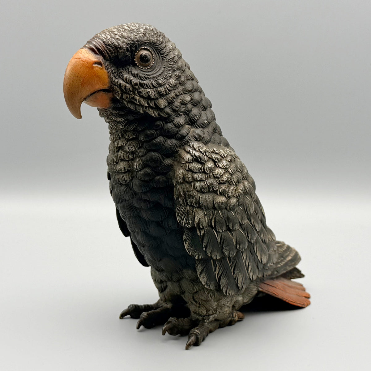 Grey Parrot Franz Bergman | Markies Antiques Ltd