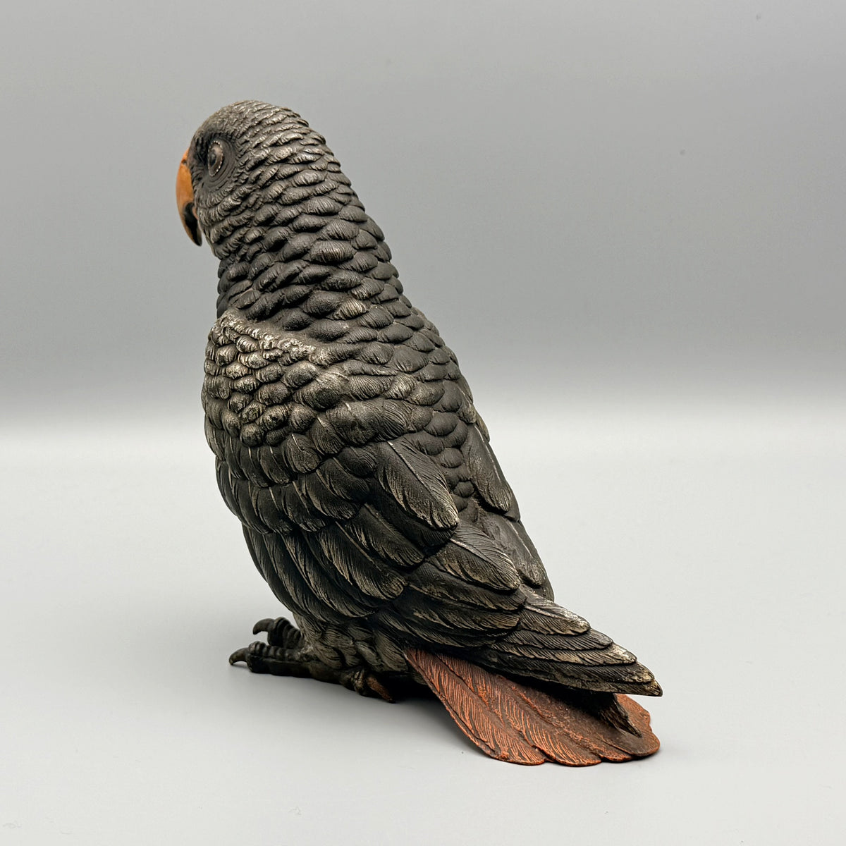 Grey Parrot Franz Bergman | Markies Antiques Ltd