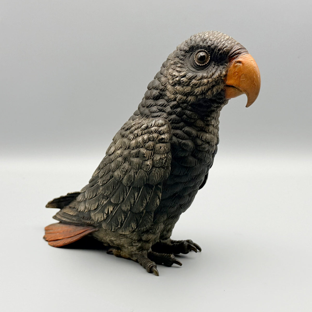 Grey Parrot Franz Bergman | Markies Antiques Ltd
