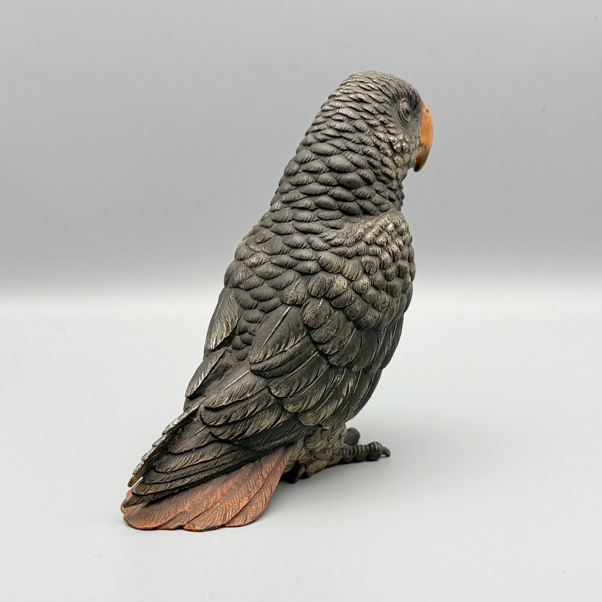 Grey Parrot Franz Bergman | Markies Antiques Ltd