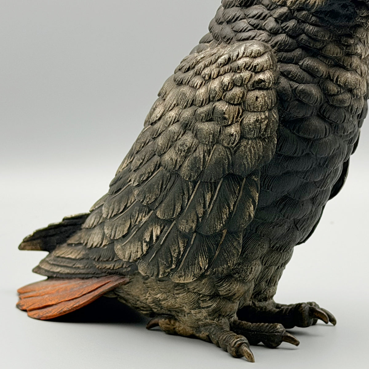 Grey Parrot Franz Bergman | Markies Antiques Ltd