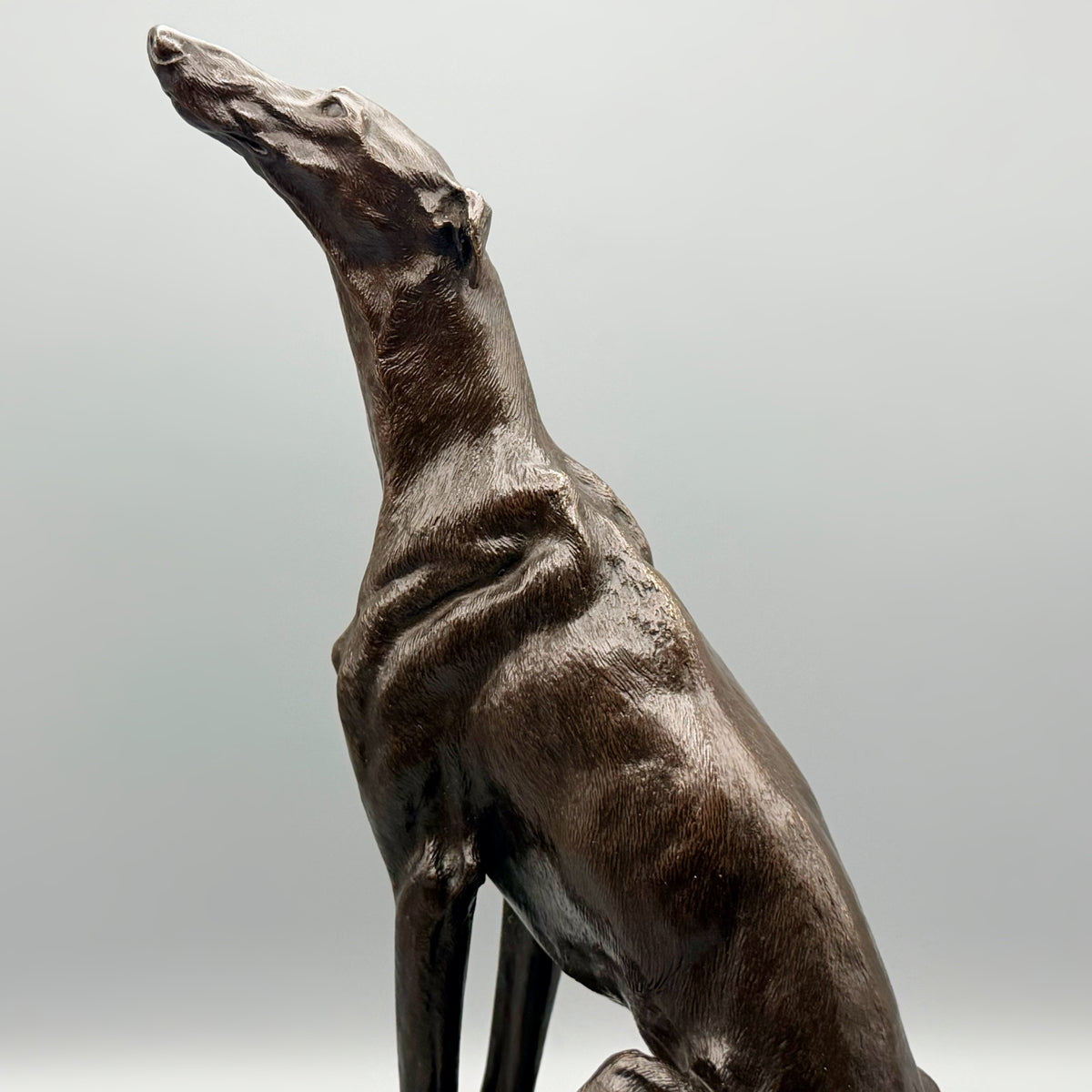 19th Century Bronze Sculpture of a Seated Greyhound by Alfred Dubacand | Markies Antiques Ltd