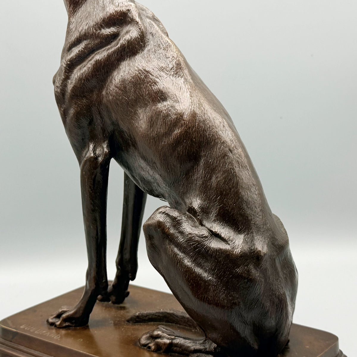 19th Century Bronze Sculpture of a Seated Greyhound by Alfred Dubacand | Markies Antiques Ltd