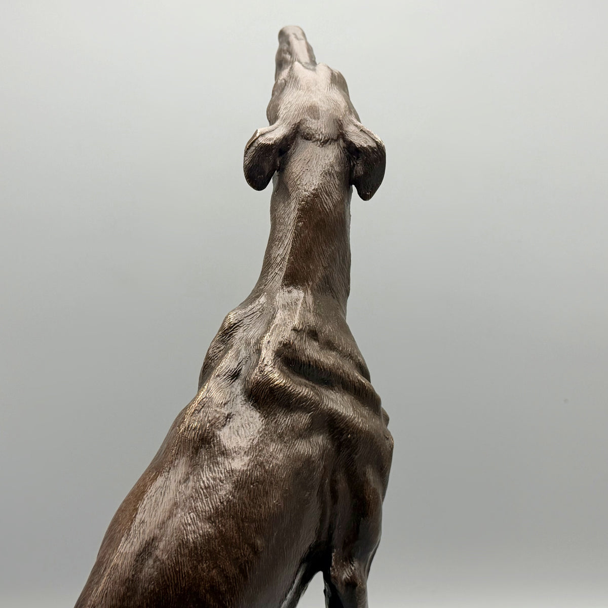 19th Century Bronze Sculpture of a Seated Greyhound by Alfred Dubacand | Markies Antiques Ltd