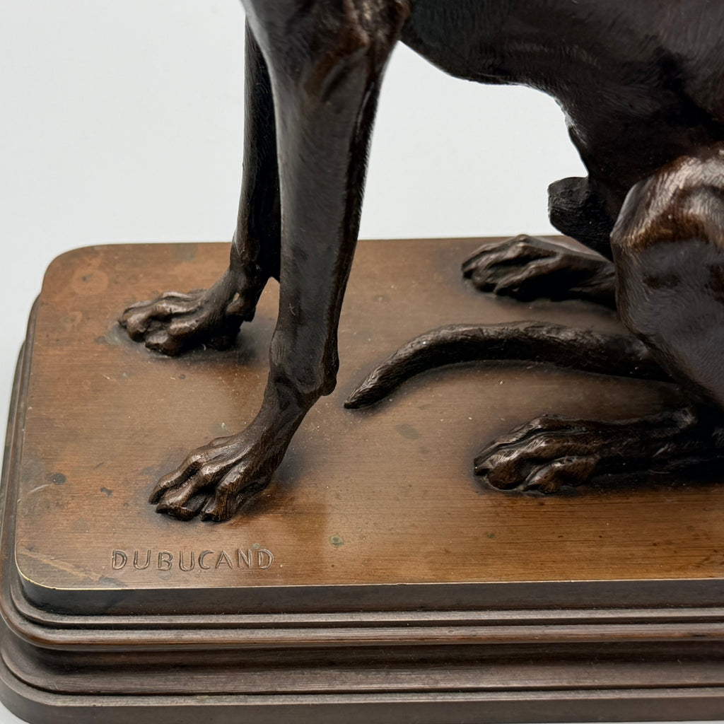 19th Century Bronze Sculpture of a Seated Greyhound by Alfred Dubacand | Markies Antiques Ltd