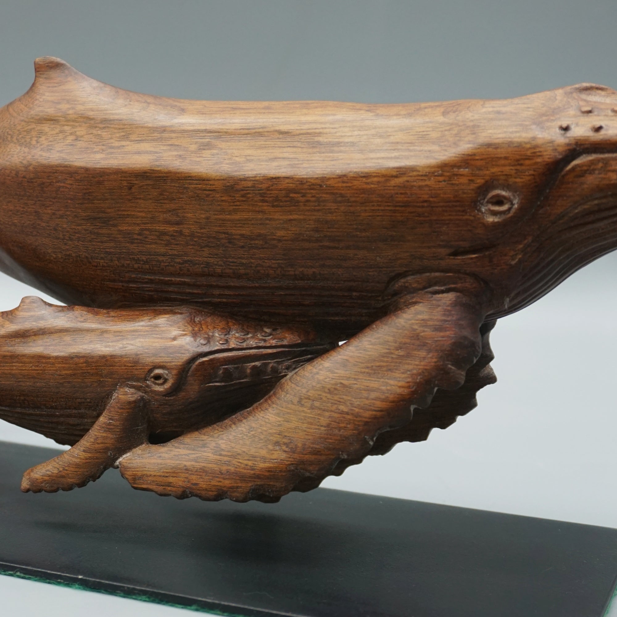 'Humpback Whale and Calf'