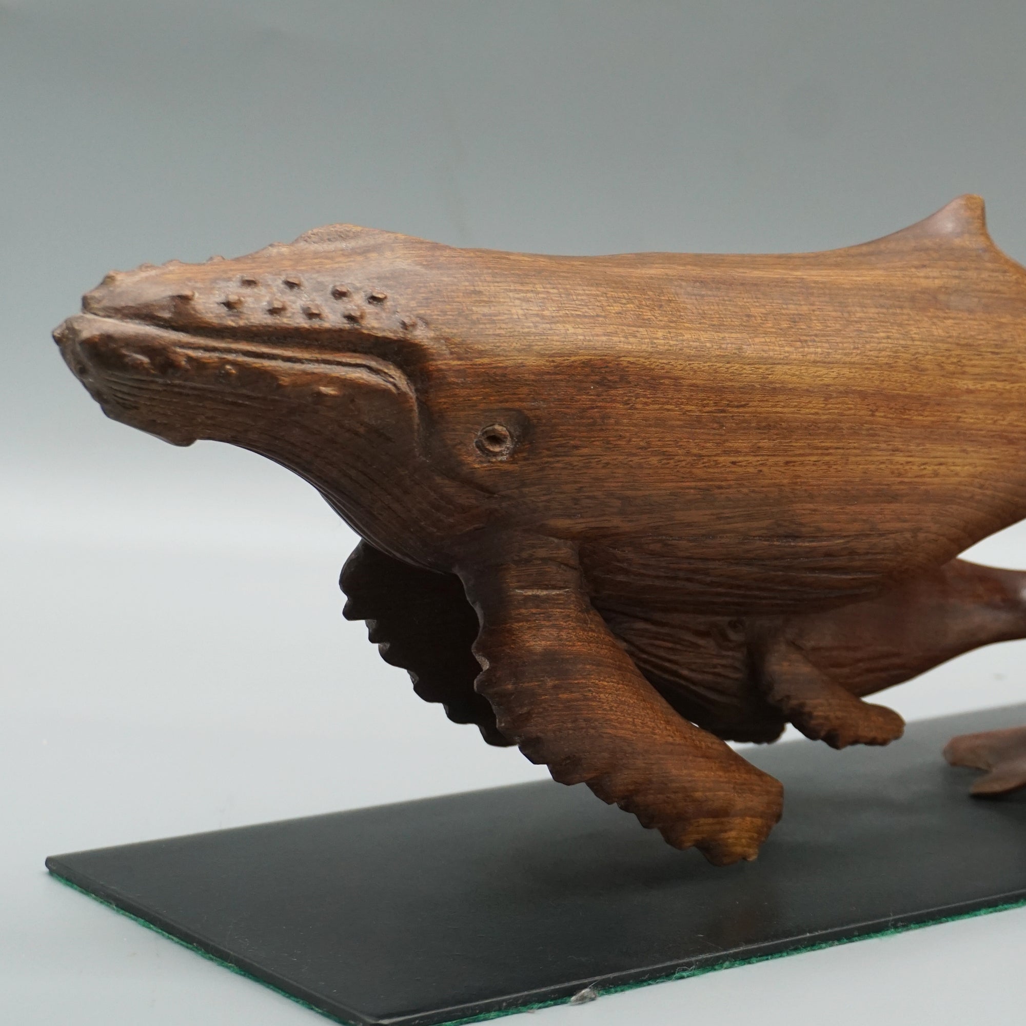 'Humpback Whale and Calf'