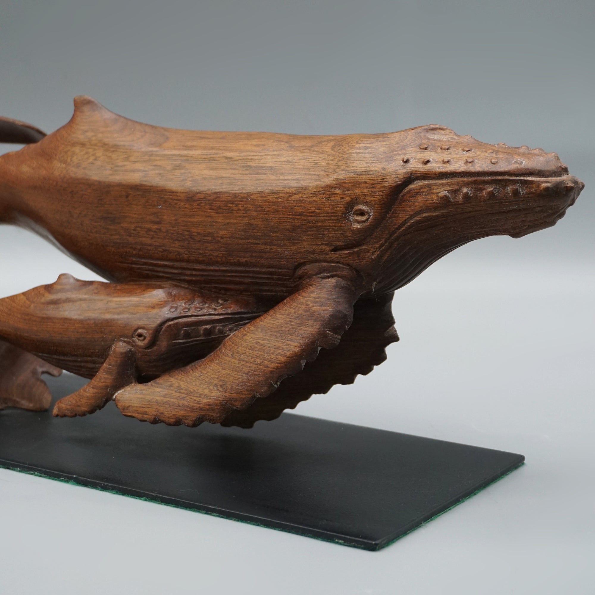 'Humpback Whale and Calf'