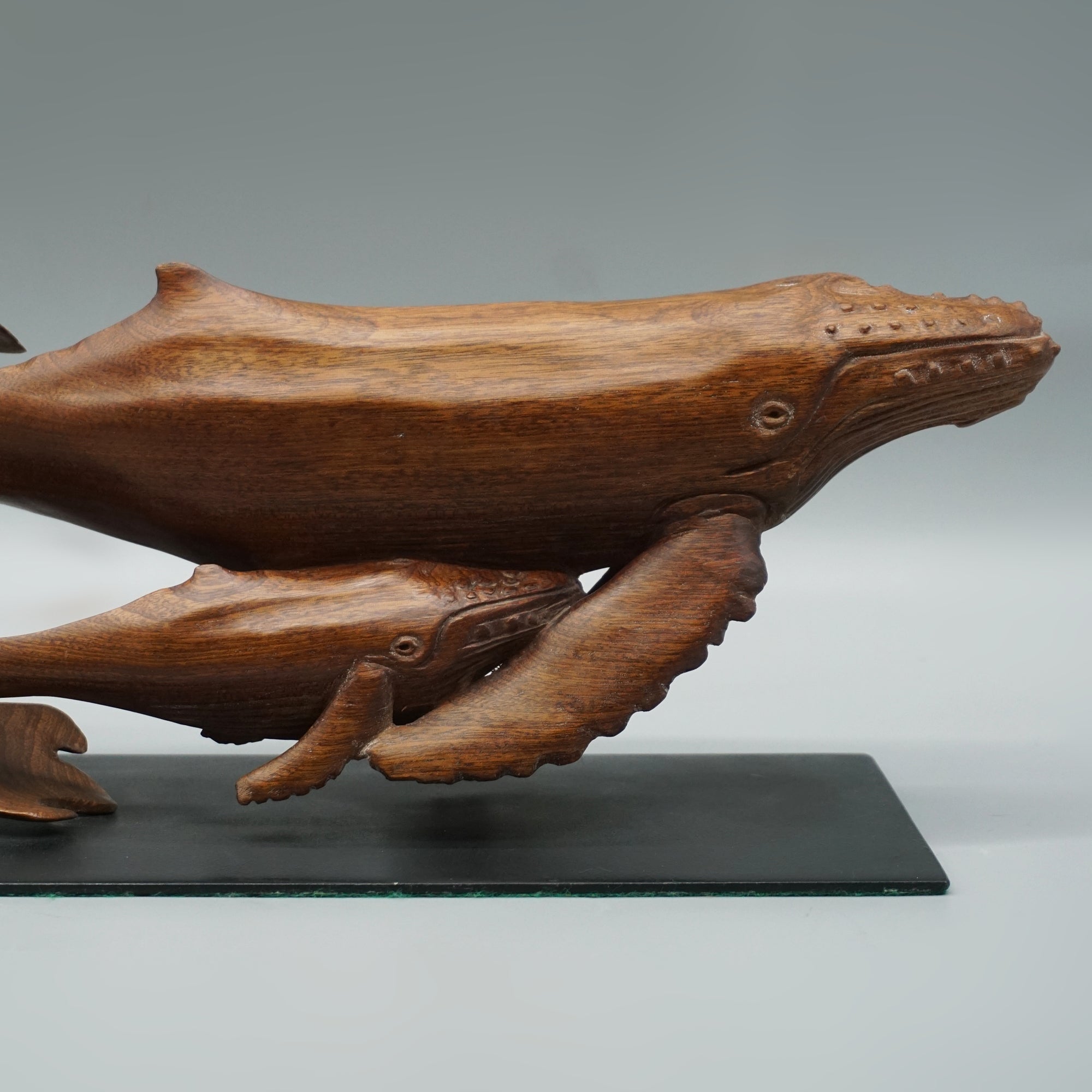 'Humpback Whale and Calf'