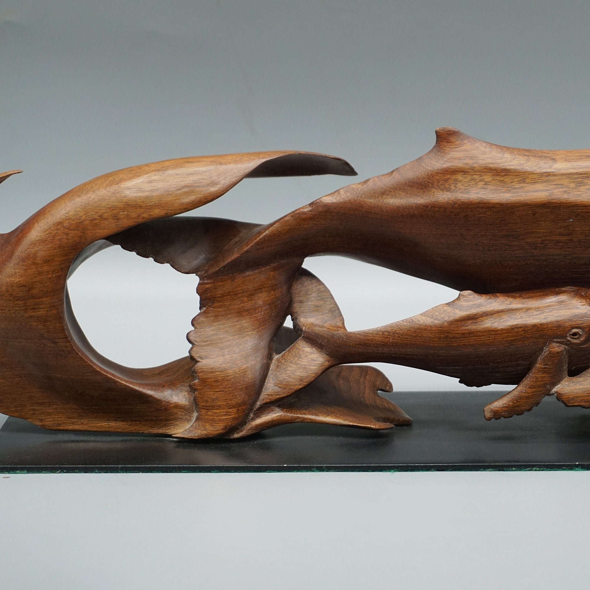 'Humpback Whale and Calf'