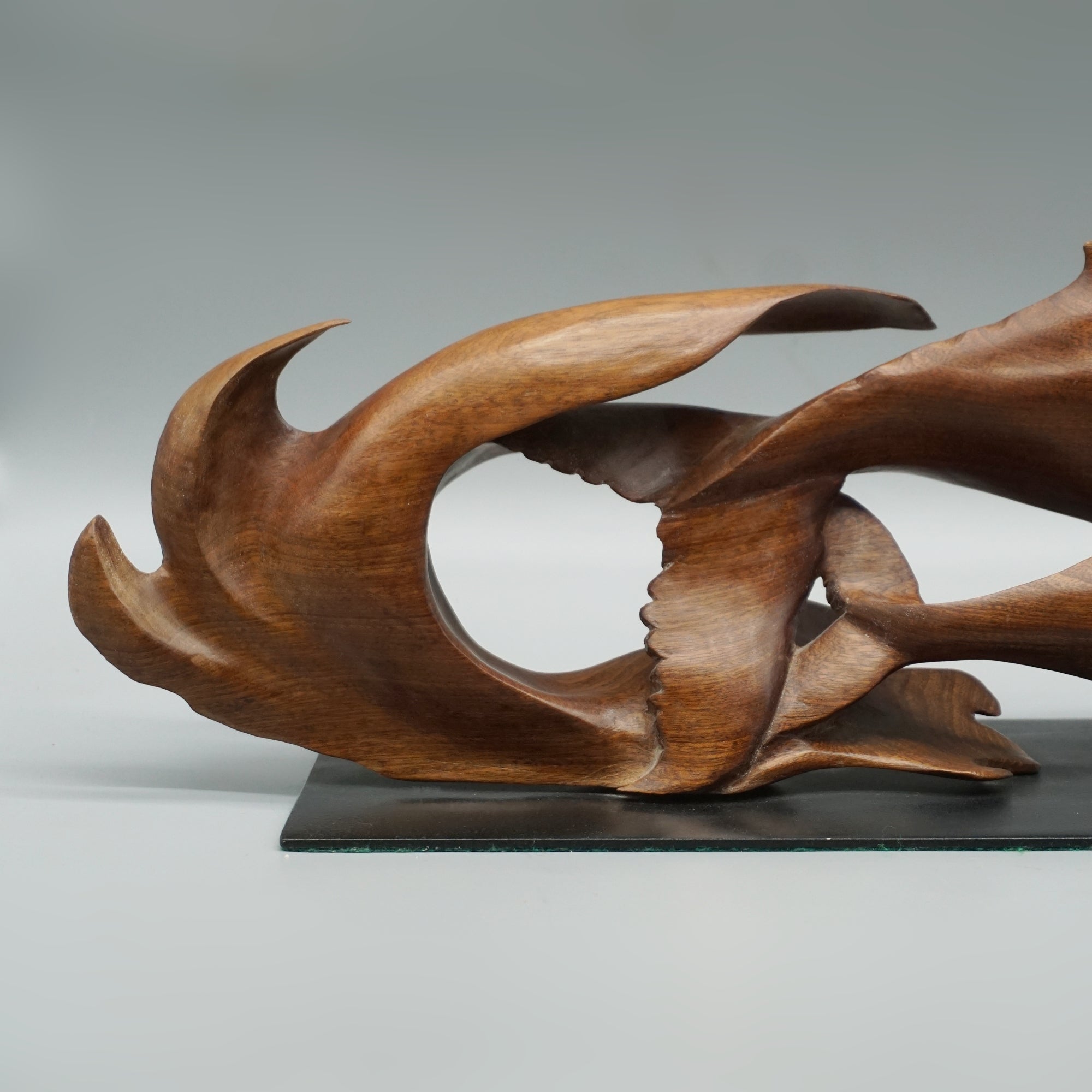 'Humpback Whale and Calf'