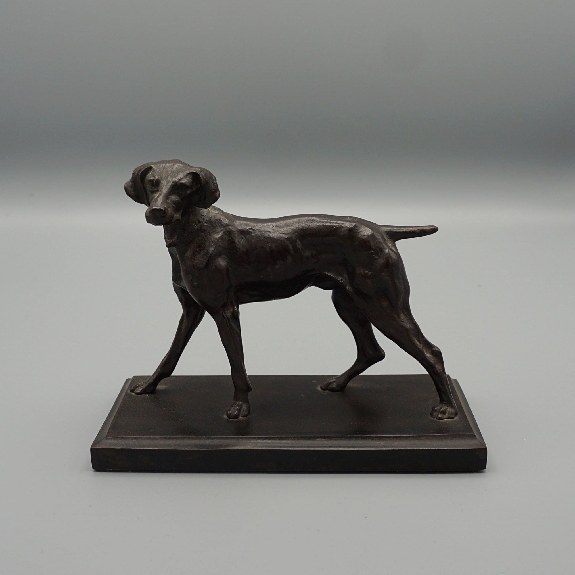 Late 19th Century Bronze study of a standing pointer - Jeroen Markies Art Deco