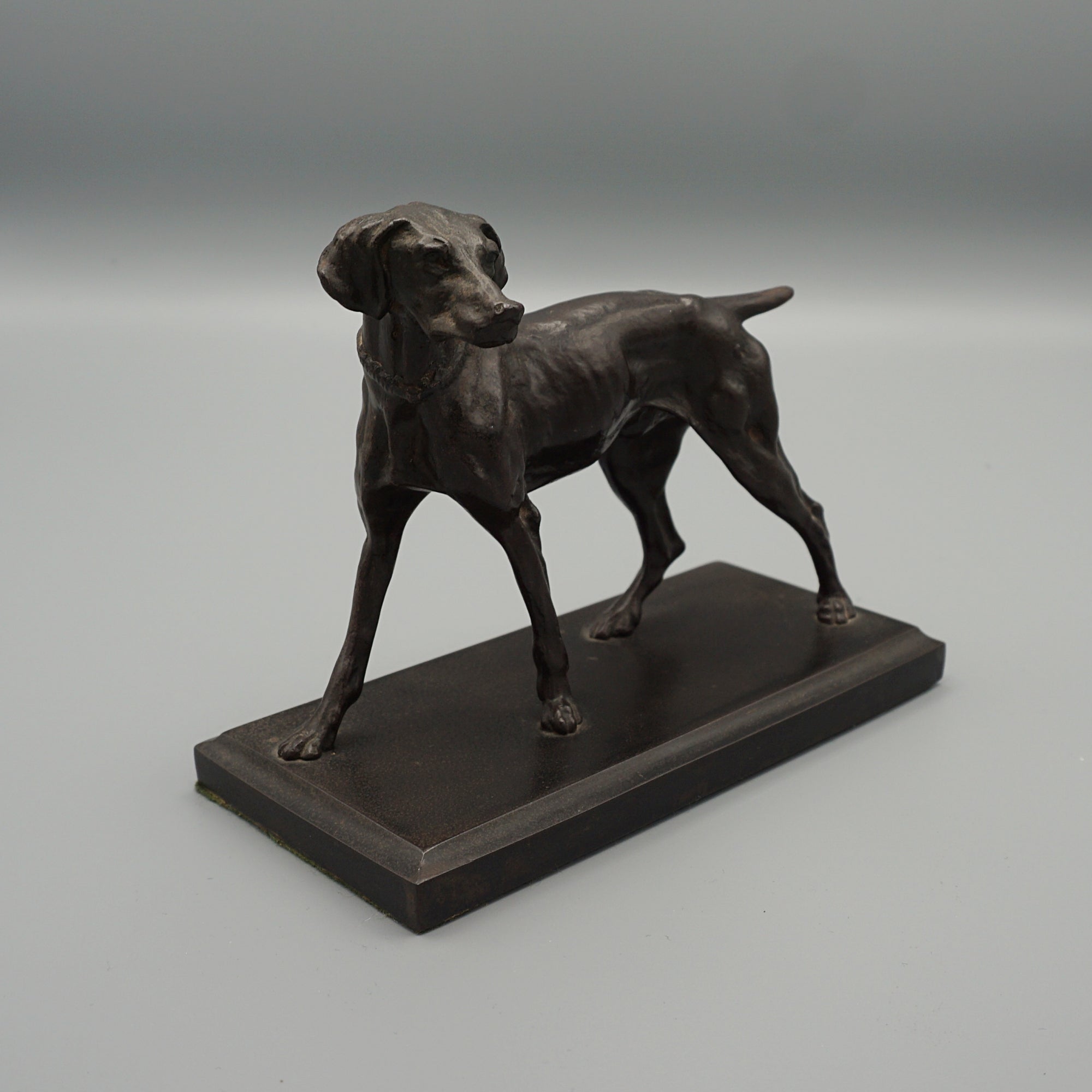 Late 19th Century Bronze study of a standing pointer - Jeroen Markies Art Deco