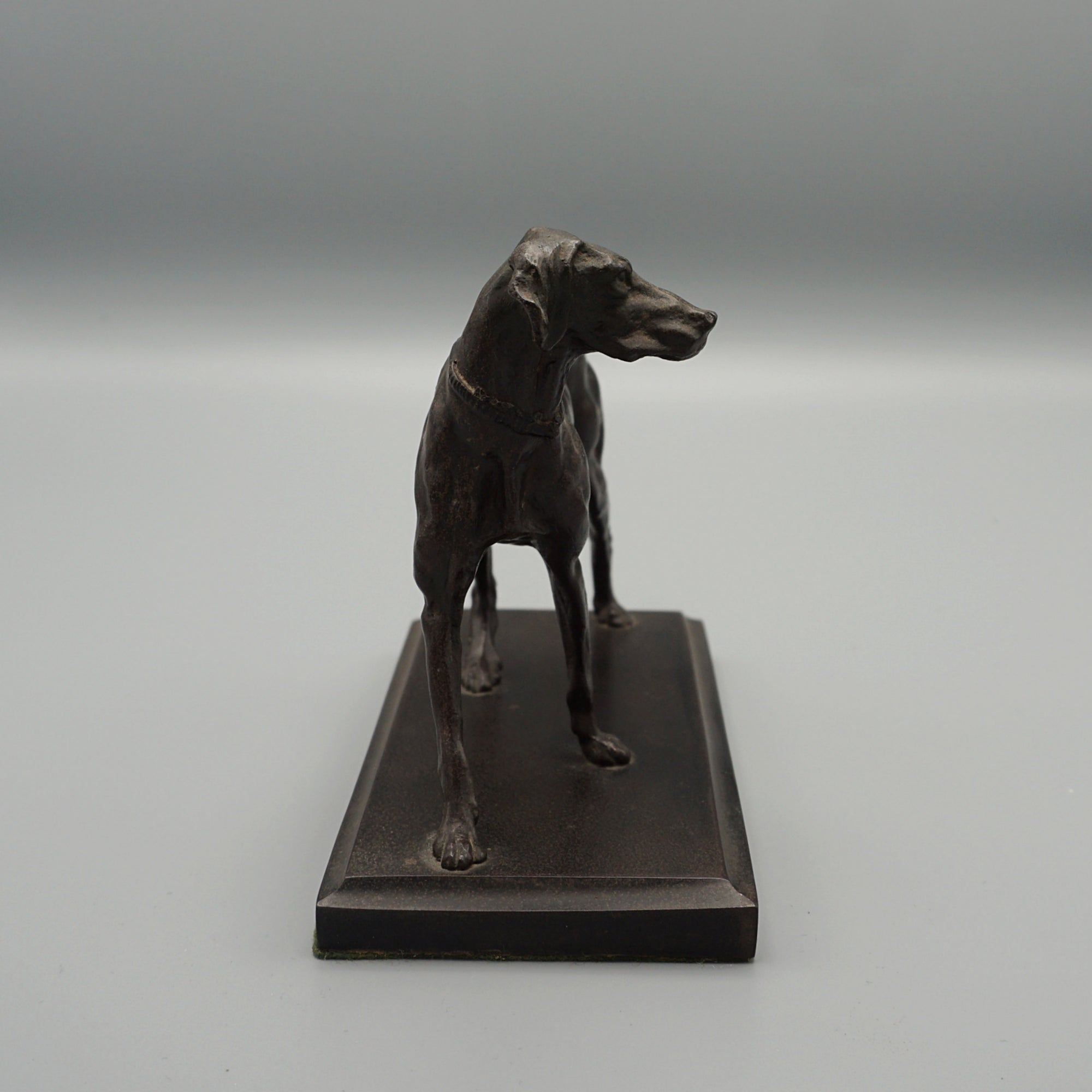 Late 19th Century Bronze study of a standing pointer - Jeroen Markies Art Deco