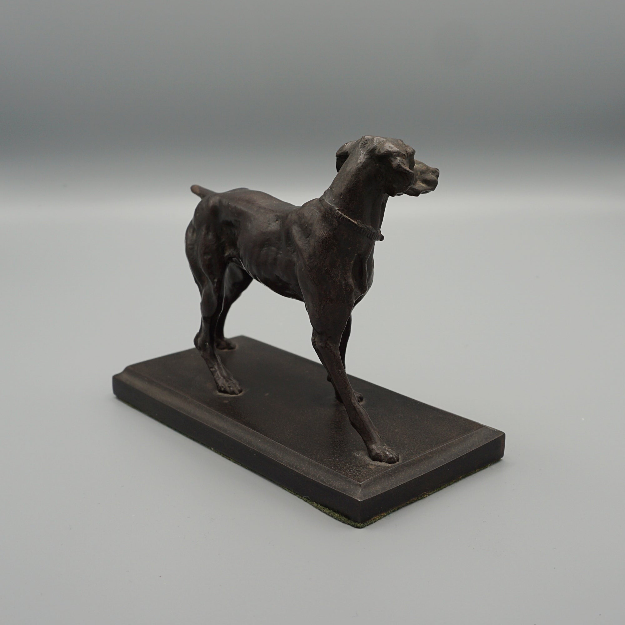 Late 19th Century Bronze study of a standing pointer - Jeroen Markies Art Deco