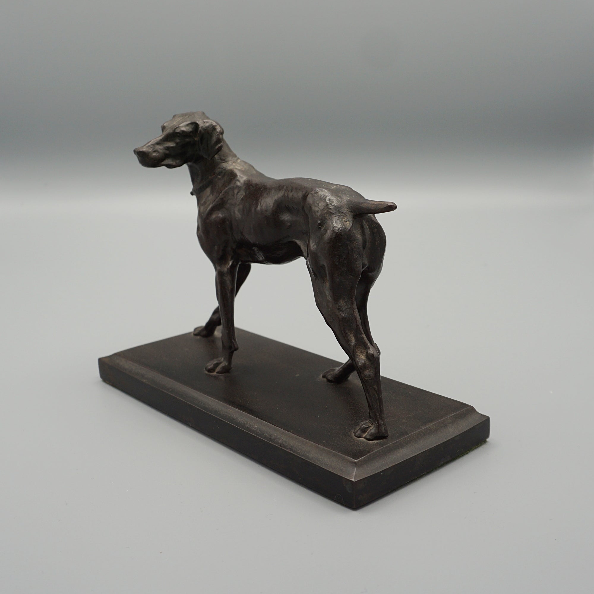 Late 19th Century Bronze study of a standing pointer - Jeroen Markies Art Deco