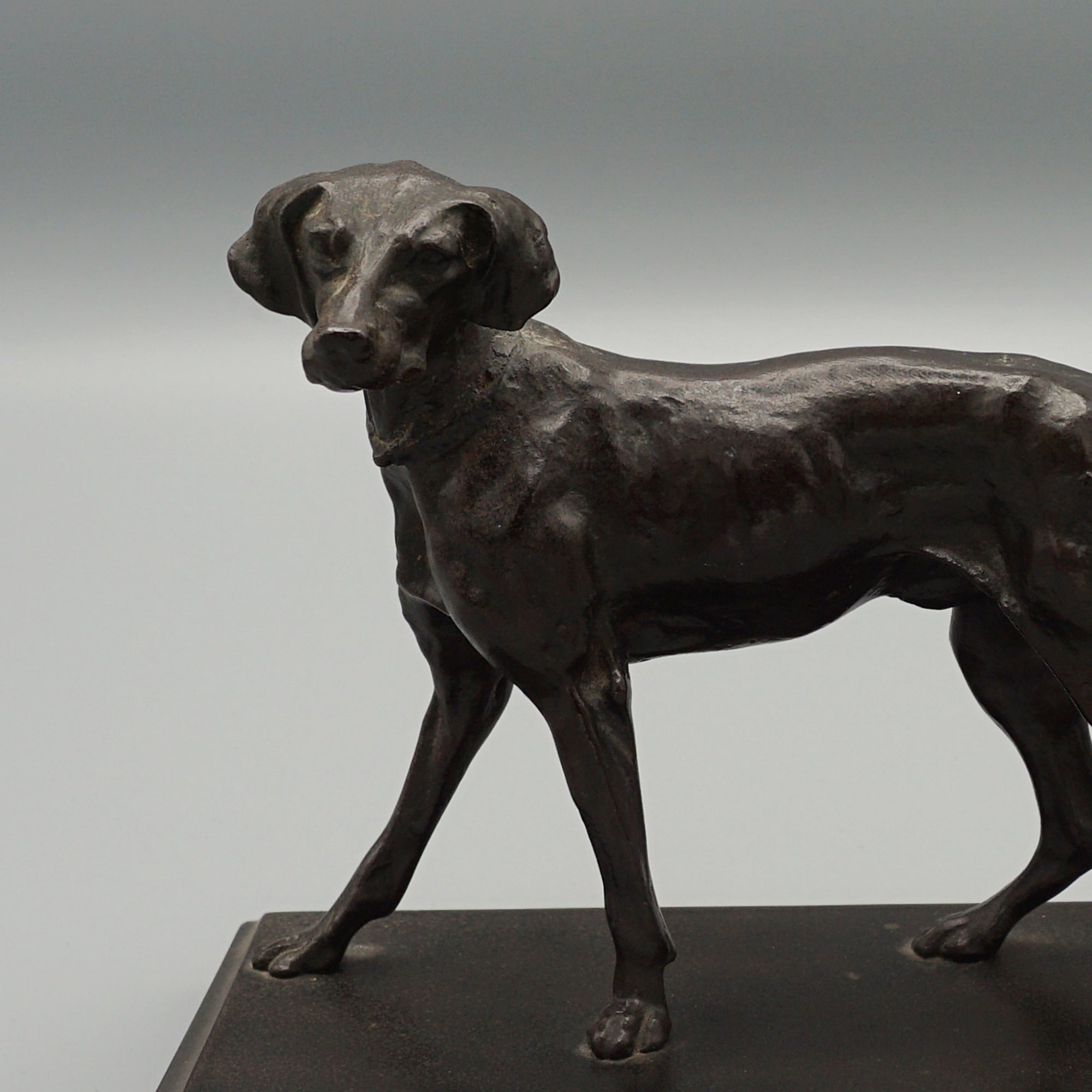 Late 19th Century Bronze study of a standing pointer - Jeroen Markies Art Deco