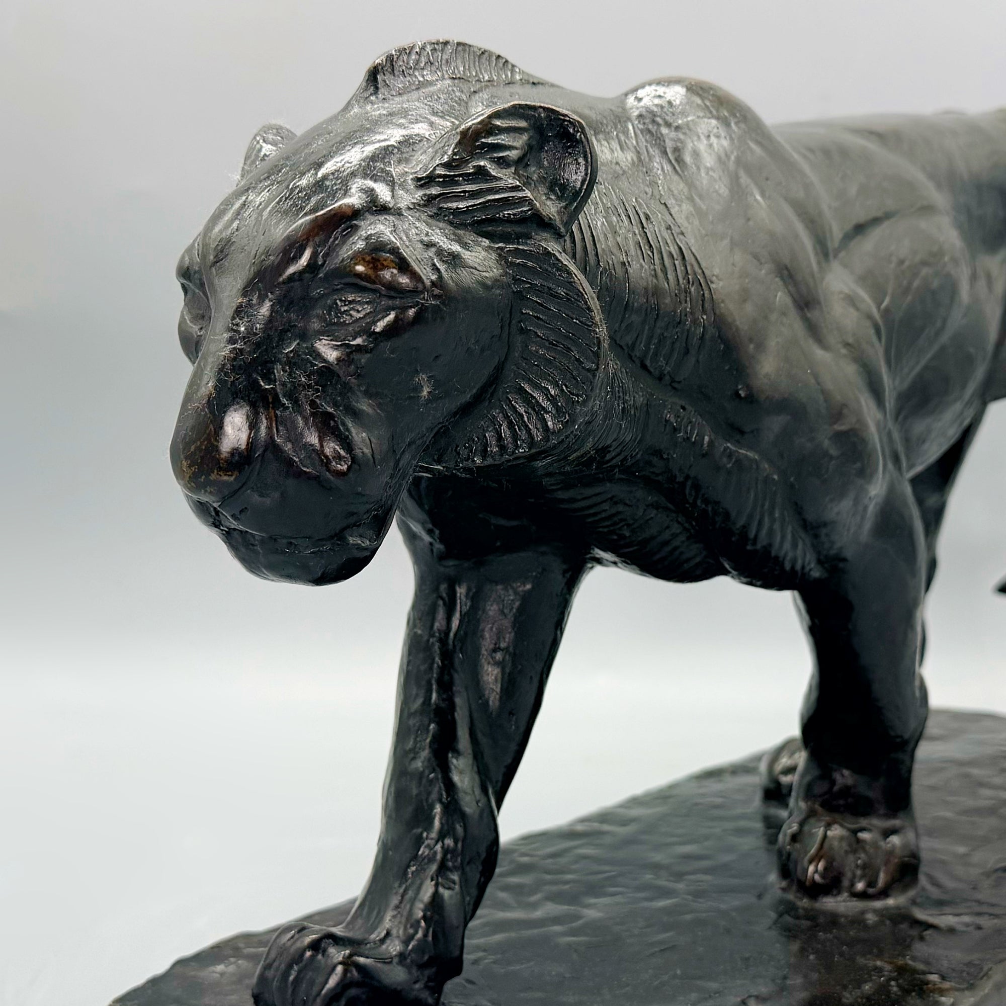 'Prowling Lion' Piero Palazzolo