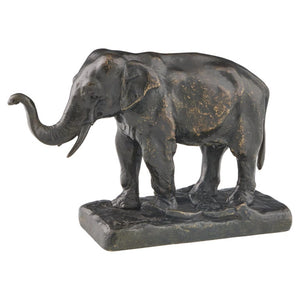 Asian Elephant