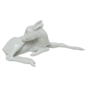 Reclining Doe