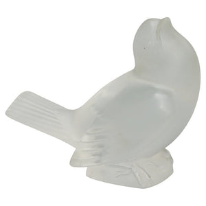 Moineau Moquer