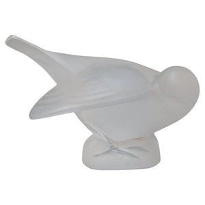 Moineau Coquet