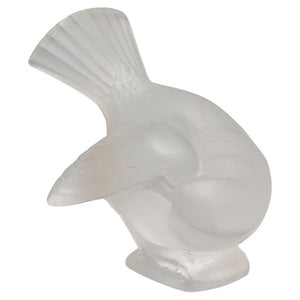 Moineau Coquet