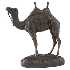 Dromadaire Harnaché d'Égypte