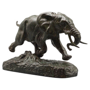 Elephant Du Senegal