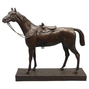 Side Saddled Horse