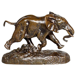 Elephant du Senegal