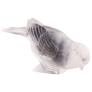 Moineau Timide