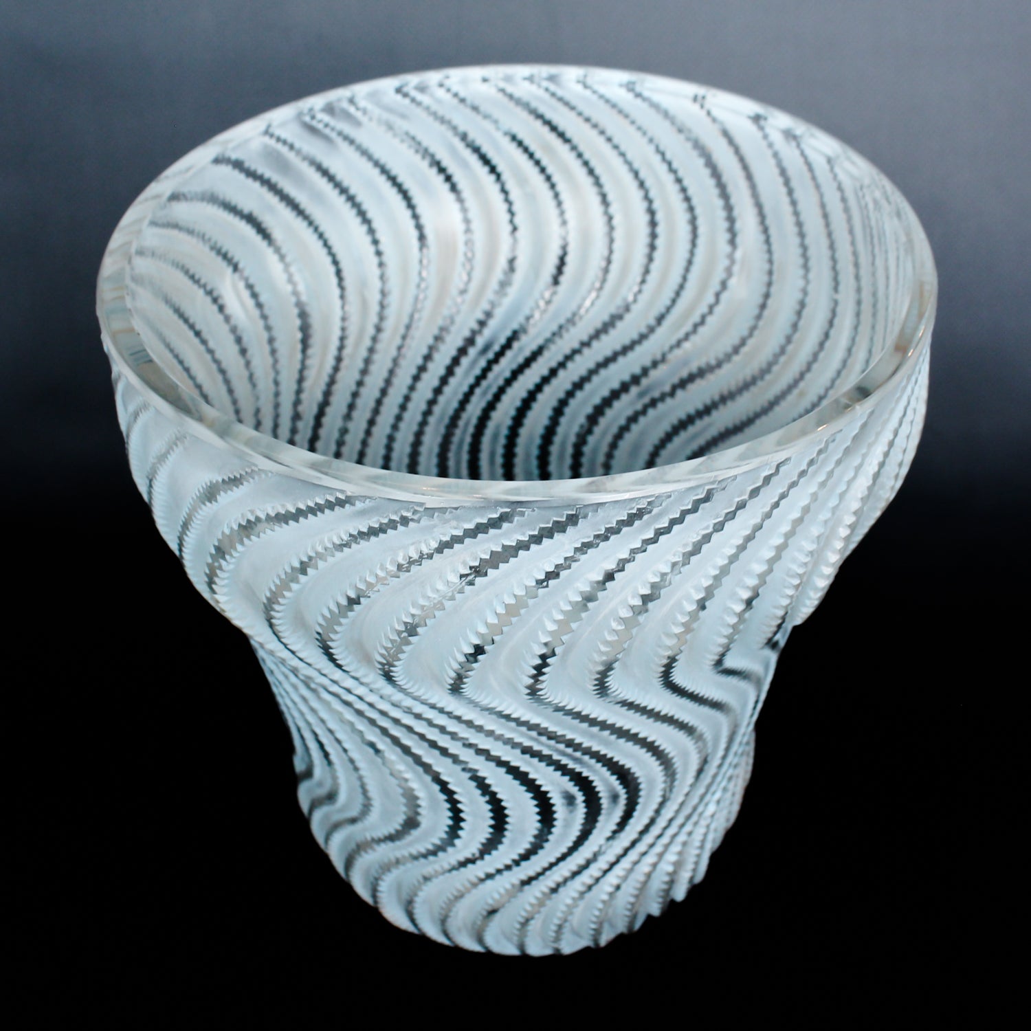 Actinia Vase