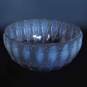 Perruches Bowl