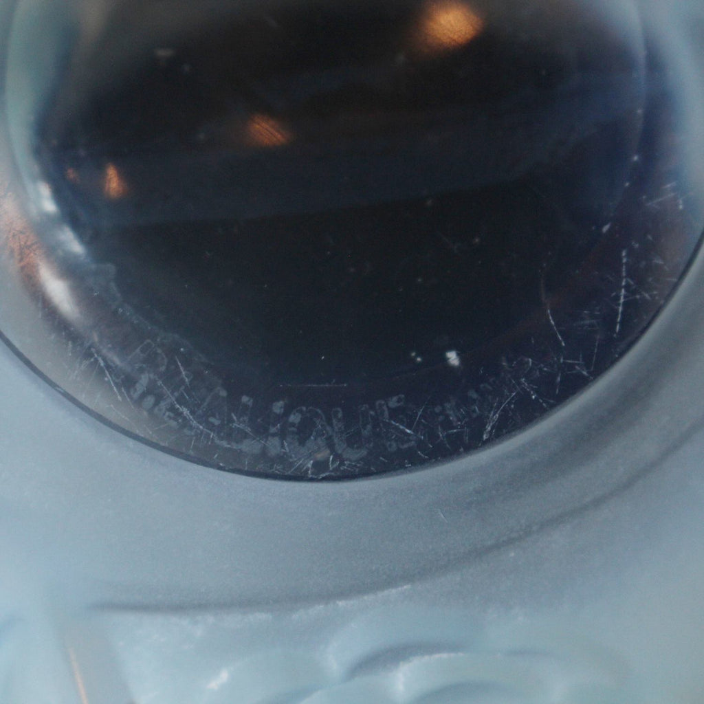 Rene Lalique Art deco Renoncules vase decorated with stylised flowers at Jeroen Markies