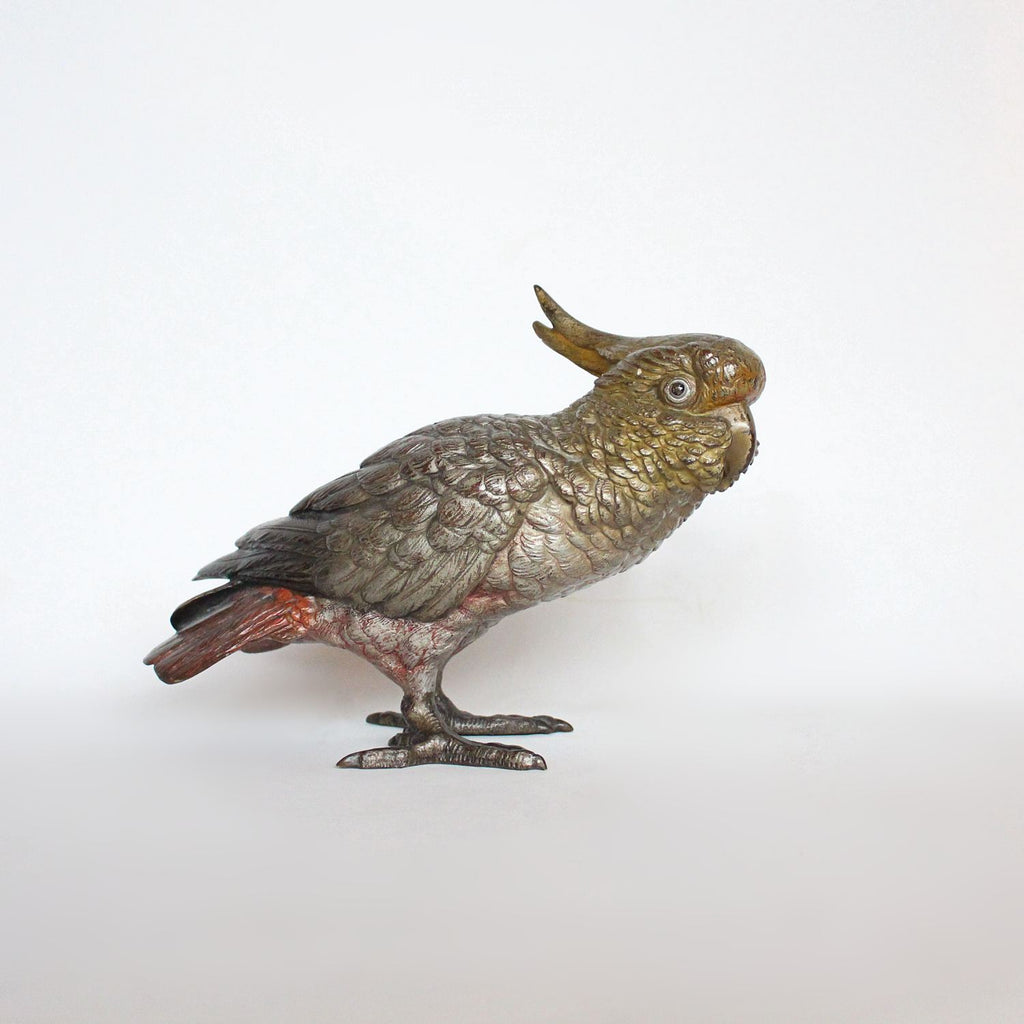 Austrian cold painted bronze cockatoo CIRCA 1900 at Jeroen Markies