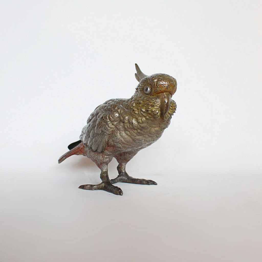 Austrian cold painted bronze cockatoo CIRCA 1900 at Jeroen Markies
