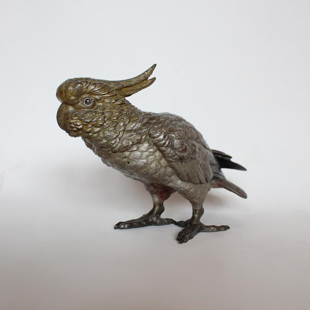 Austrian cold painted bronze cockatoo CIRCA 1900 at Jeroen Markies