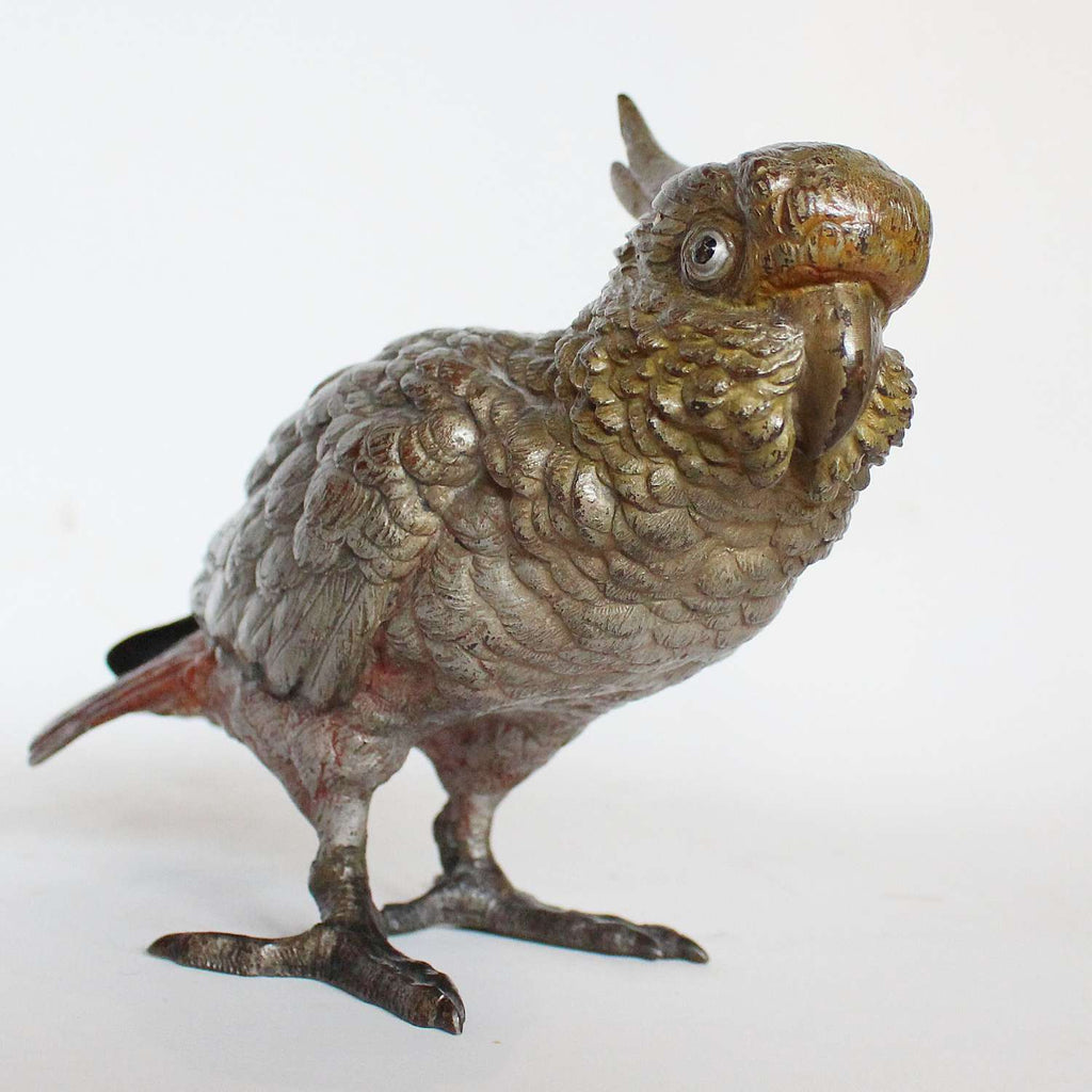 Austrian cold painted bronze cockatoo CIRCA 1900 at Jeroen Markies
