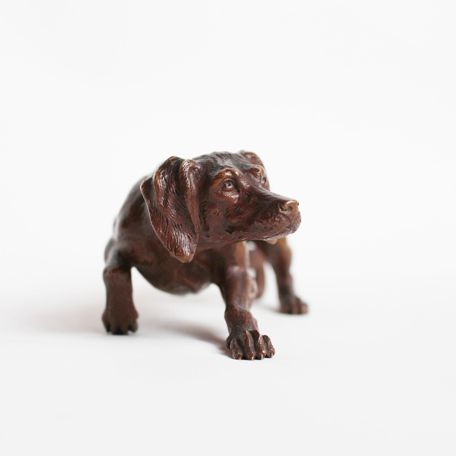 19thC French bronze dog at Jeroen Markies
