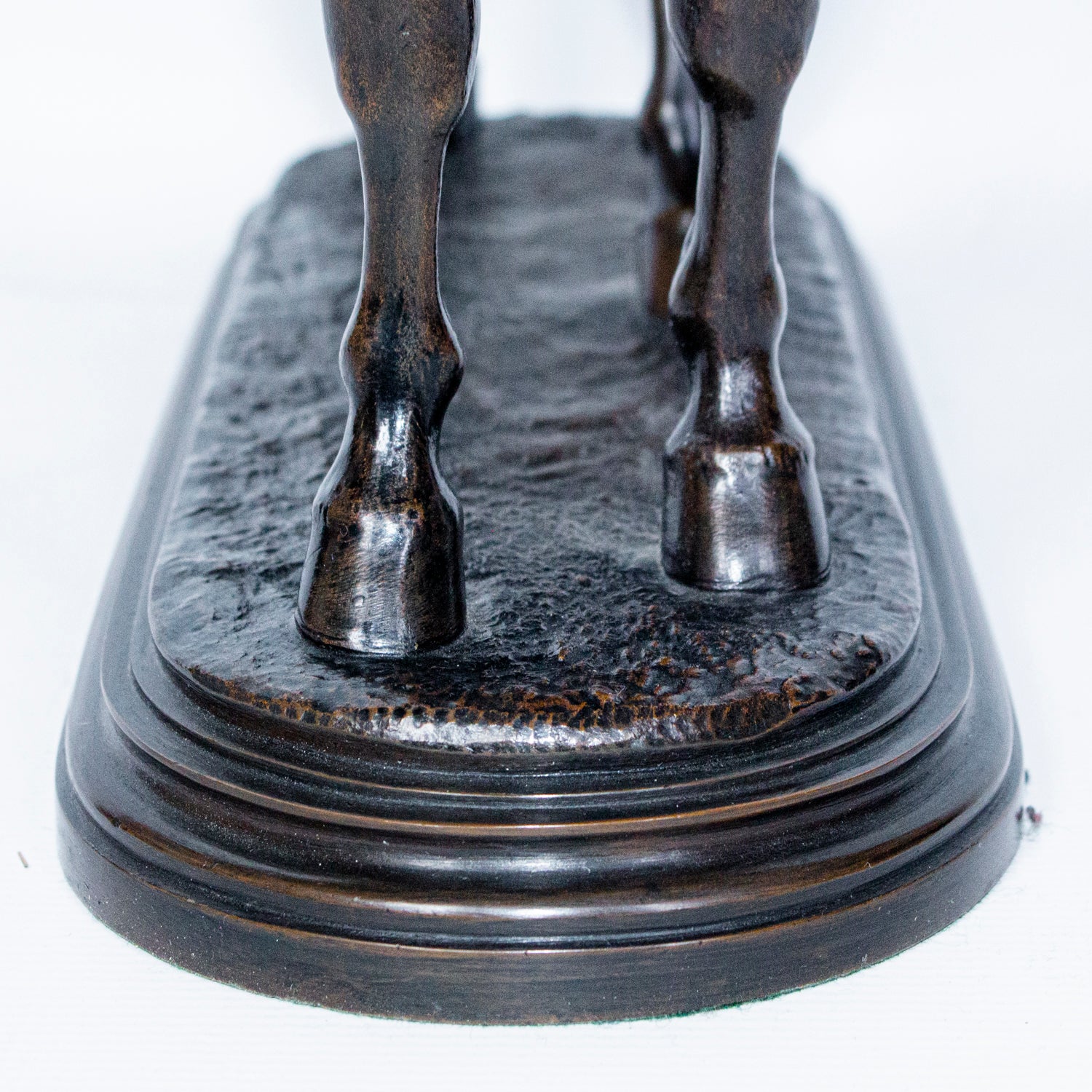 "Cheval Hennissant"