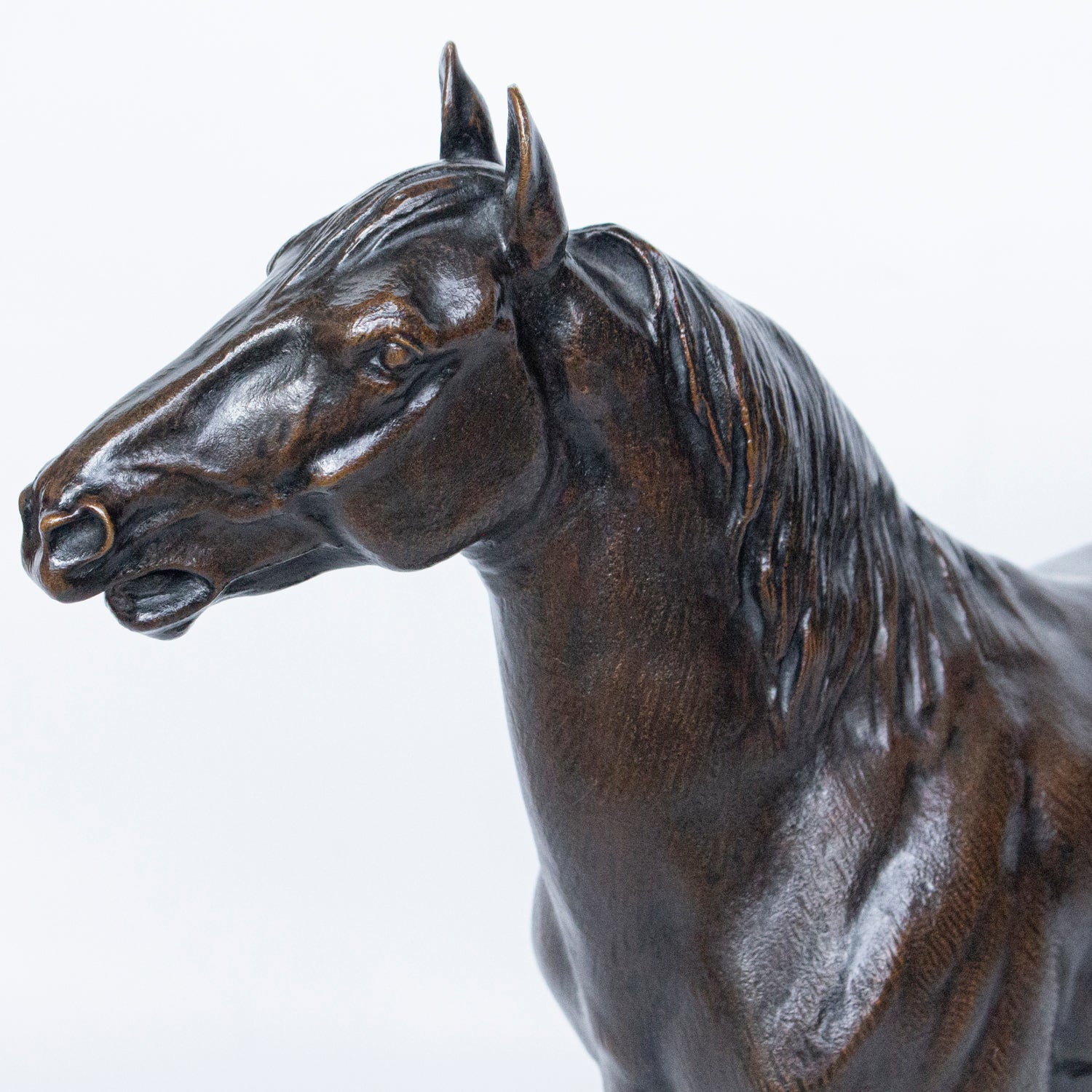 "Cheval Hennissant"
