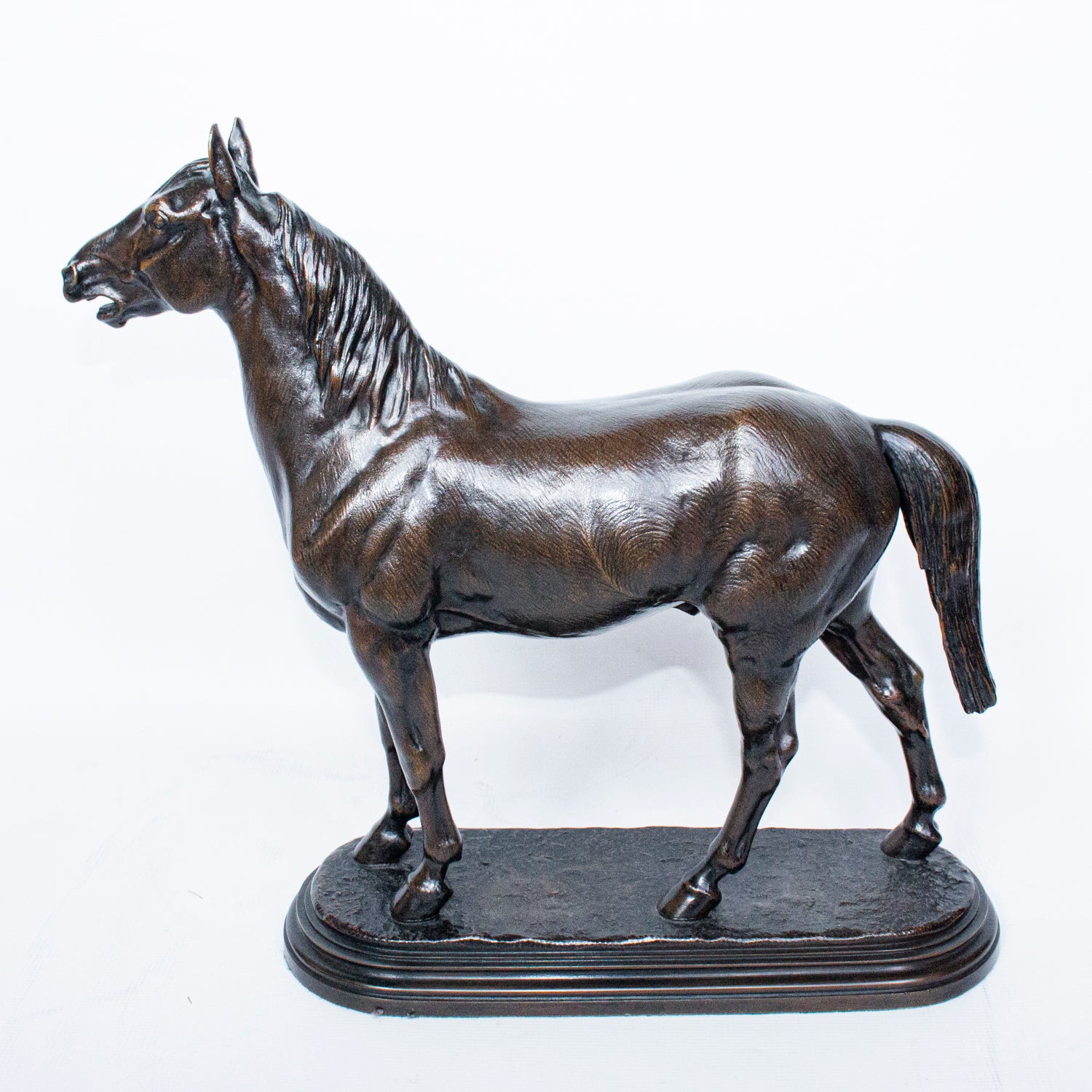 "Cheval Hennissant"