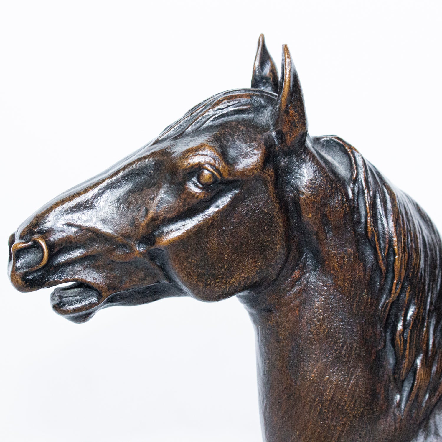 "Cheval Hennissant"