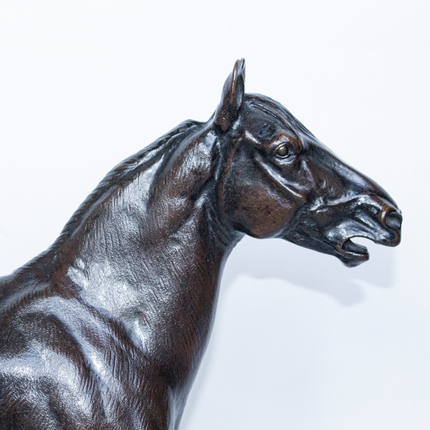 "Cheval Hennissant"