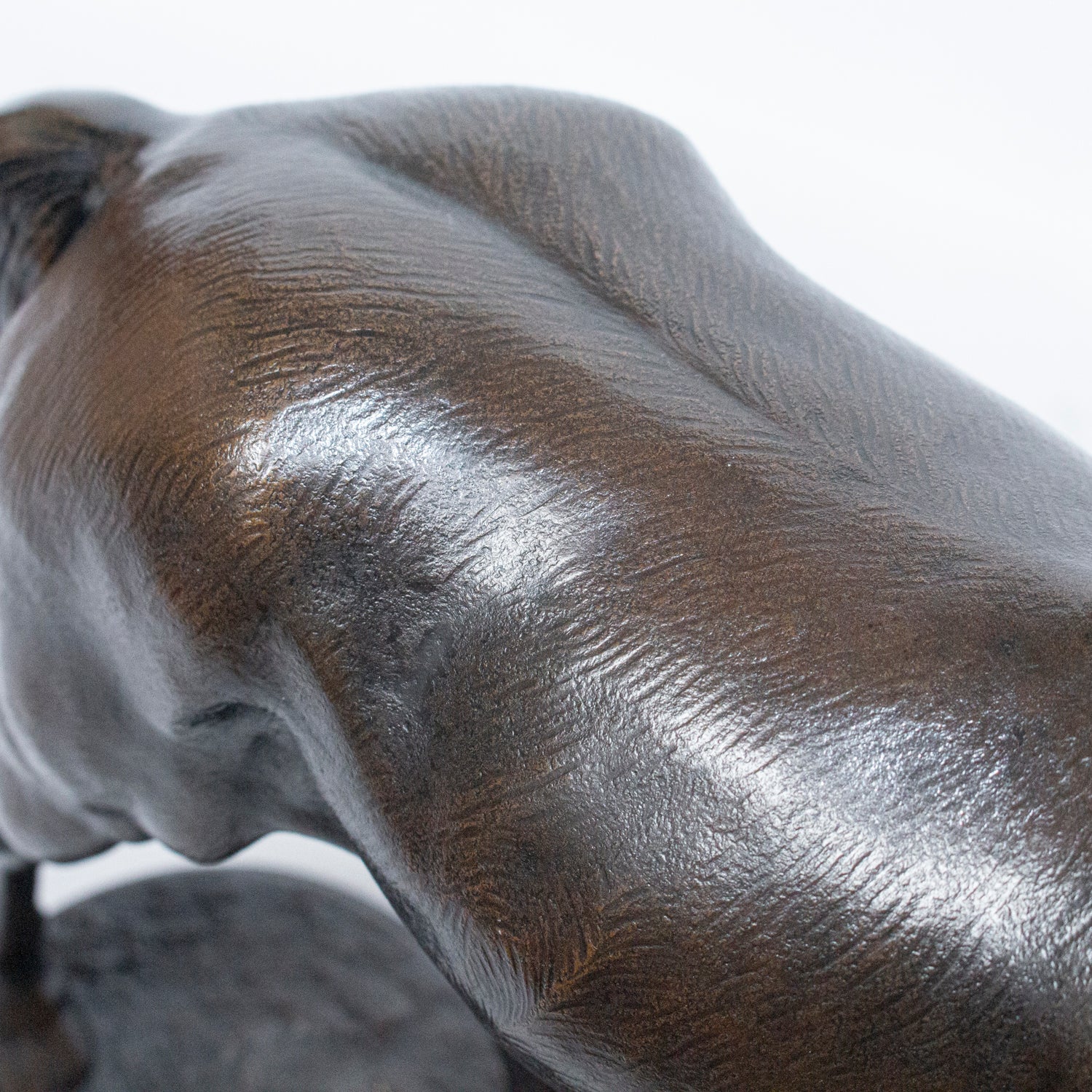 "Cheval Hennissant"