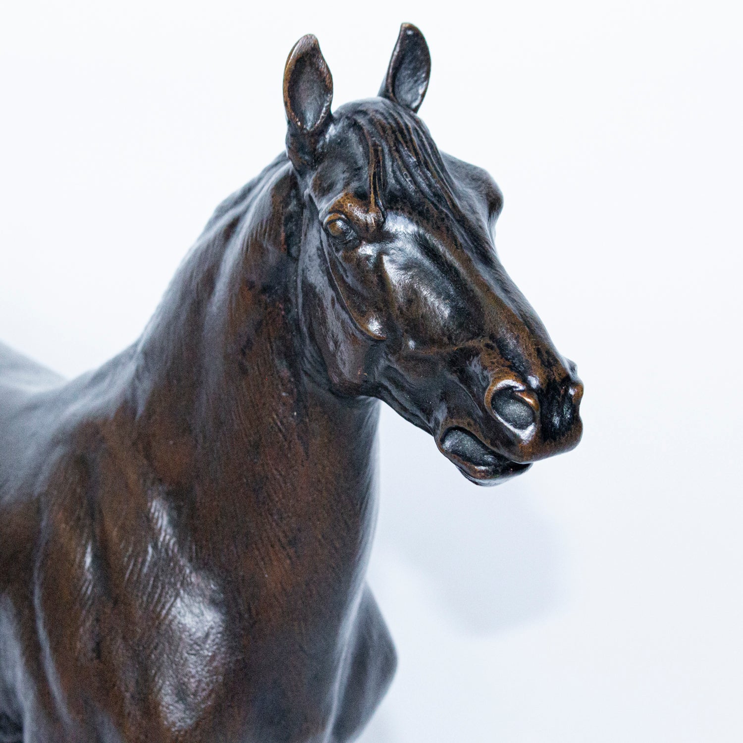 "Cheval Hennissant"