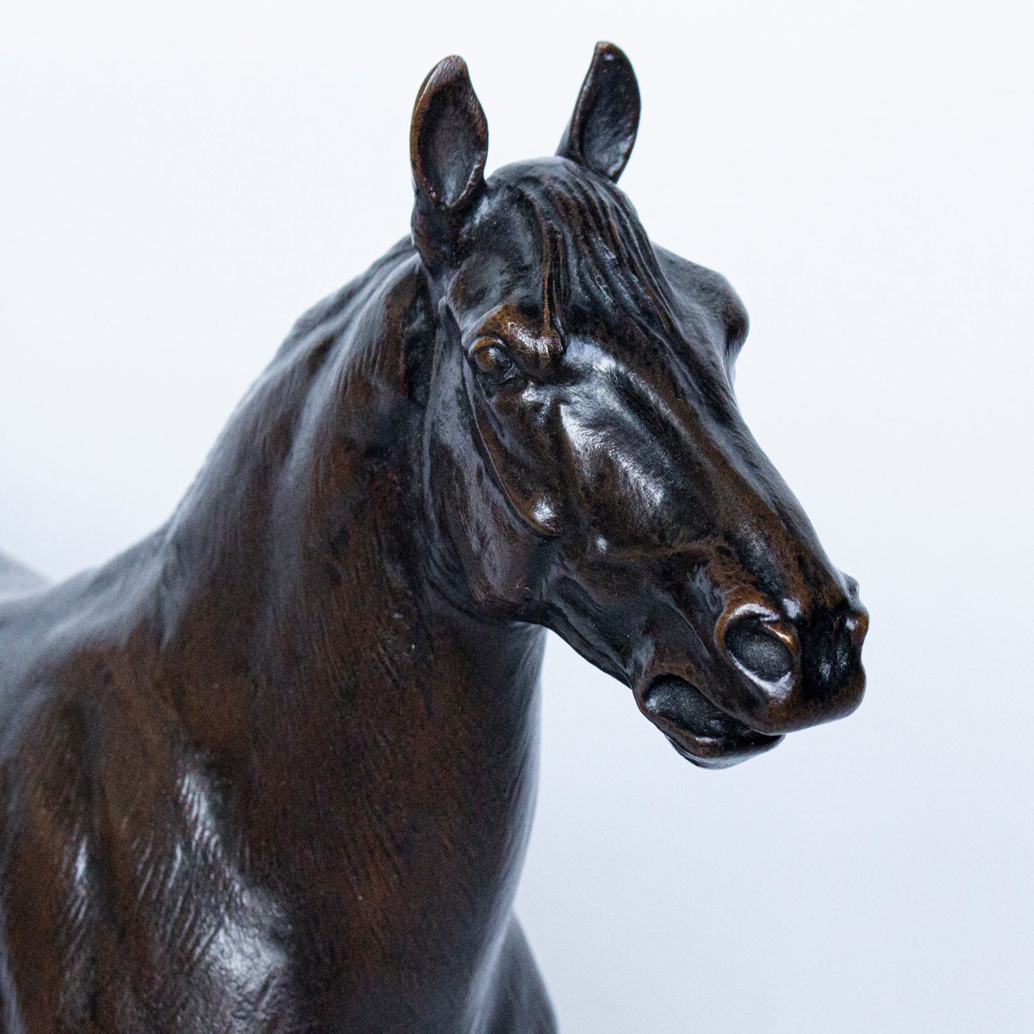 "Cheval Hennissant"