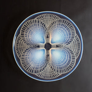 Coquilles No.2