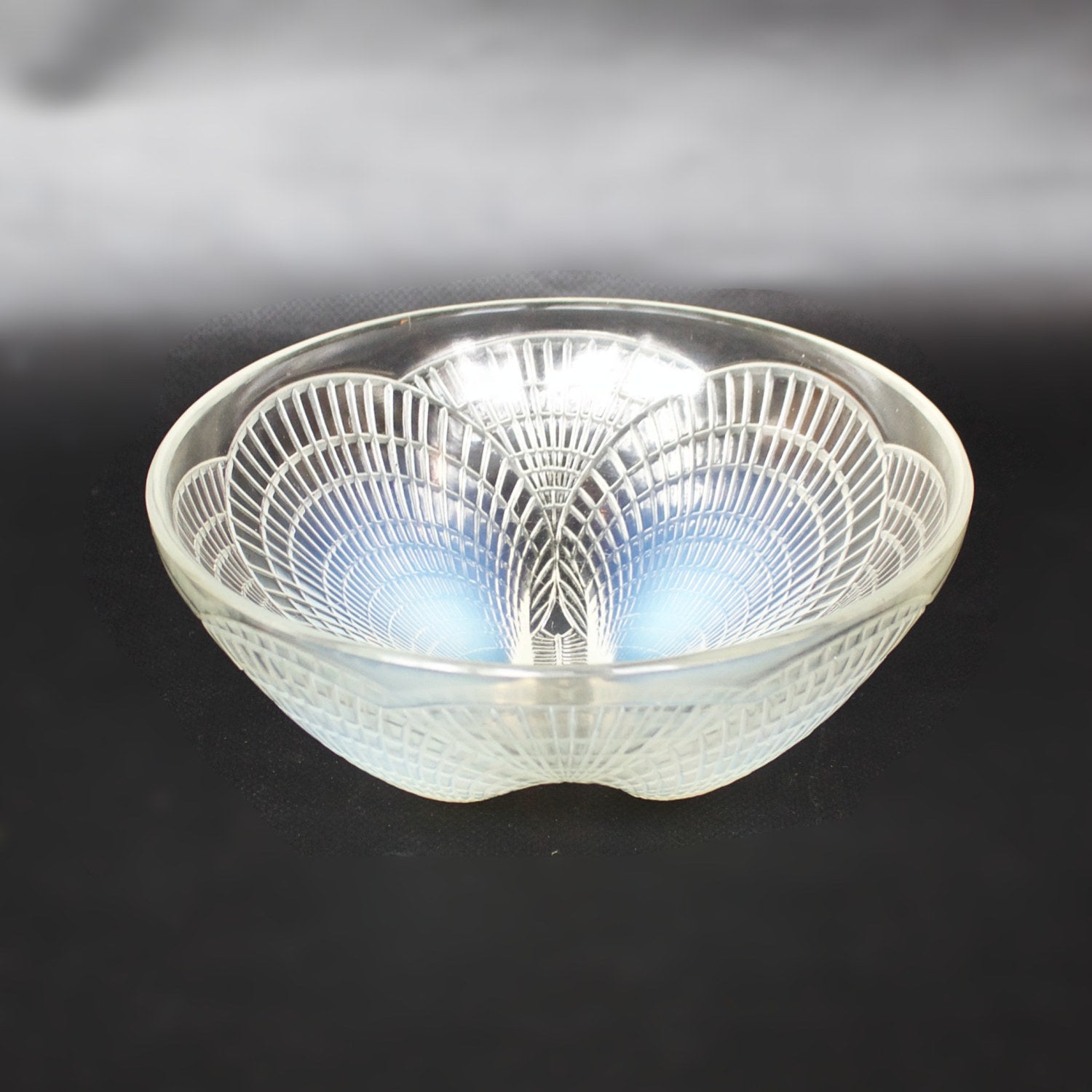 Coupe Coquilles No. 3 Art Deco blue opalescent glass bowl - René Lalique Glass - Jeroen Markies Art Deco